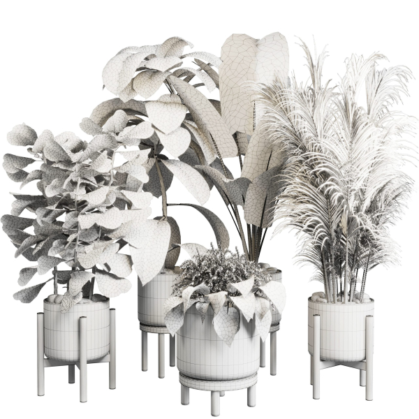 collection Indoor plant 30 -wood vase