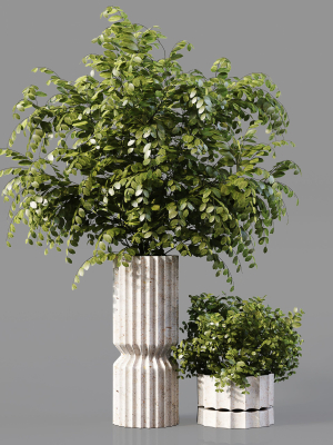 collection-indoor-plants-019-3d-model-max-obj-fbx