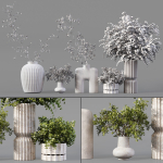 Collection Indoor Plants 019