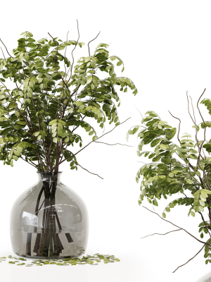 collection-indoor-plants-020-3d-model-max-obj-fbx