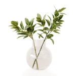 Collection Indoor Plants 020