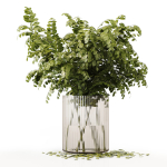 Collection Indoor Plants 020