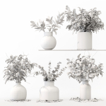Collection Indoor Plants 020