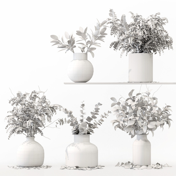 Collection Indoor Plants 020