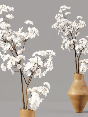 collection-indoor-plants-030-3d-model-max-obj-fbx
