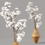 Collection Indoor Plants 030