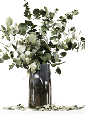 collection-indoor-plants-047-3d-model-0964ef21de