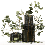Collection Indoor Plants 047