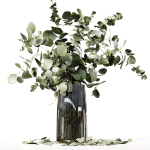 Collection Indoor Plants 047