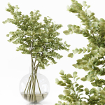 Collection Indoor Plants 048
