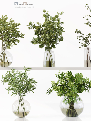 Collection Indoor Plants 048