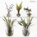 Collection Indoor Plants 048
