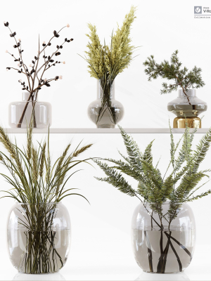 Collection Indoor Plants 048