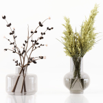 Collection Indoor Plants 048