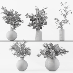 Collection Indoor Plants 048