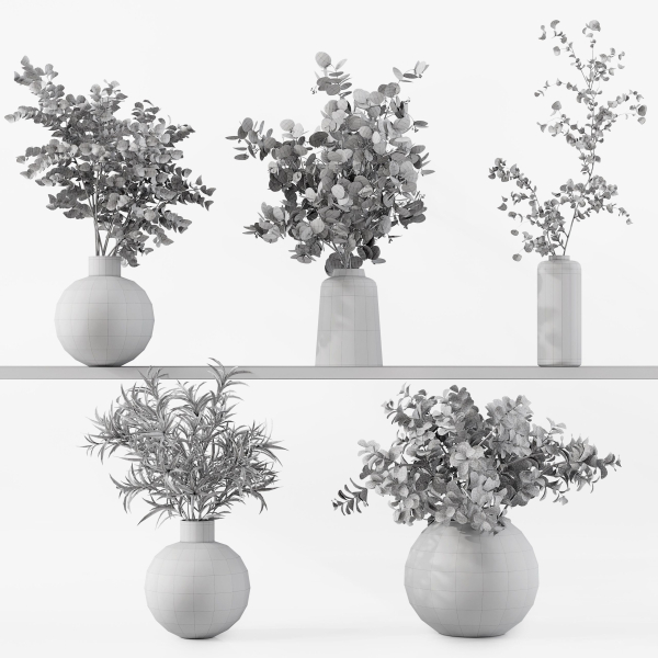 Collection Indoor Plants 048