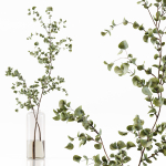 Collection Indoor Plants 048