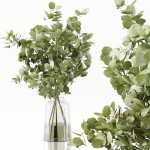 Collection Indoor Plants 048