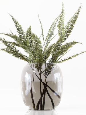 collection-indoor-plants-048-3d-model-db1fc92faf
