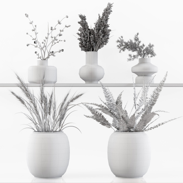 Collection Indoor Plants 048