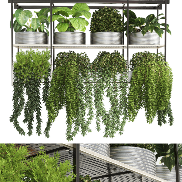 collection Indoor plants hanging pot-metal bax vase 04