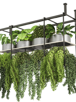 collection Indoor plants hanging pot-metal bax vase 04