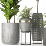Collection Indoor Plants Set Nim06