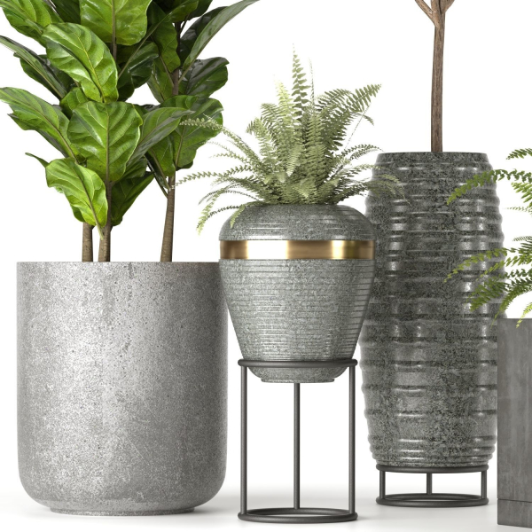 Collection Indoor Plants Set Nim06