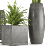 Collection Indoor Plants Set Nim06