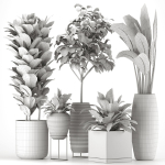 Collection Indoor Plants Set Nim06