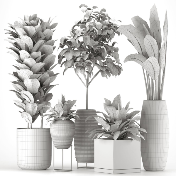 Collection Indoor Plants Set Nim06