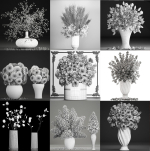 collection of bouquets 33 pieces