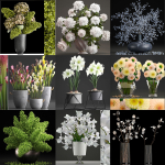 collection of bouquets 33 pieces