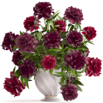 Collection of bouquets 39 pieces