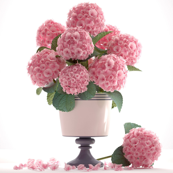 Collection of bouquets 40 pieces