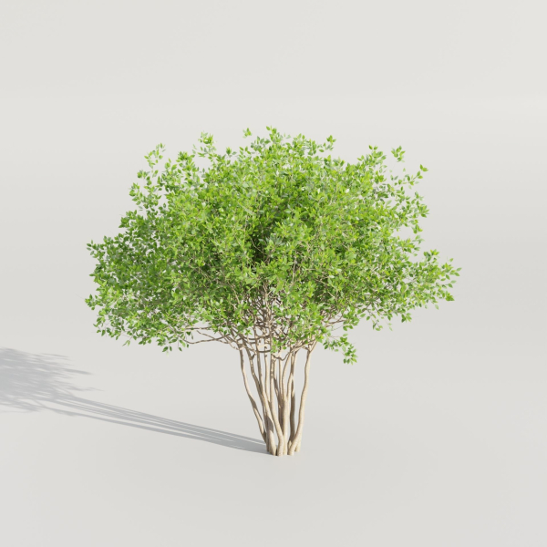 collection of bushes vol 164-Blender