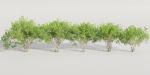 collection of bushes vol 164-Blender
