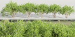 collection of bushes vol 164-Blender