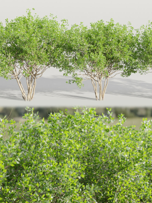 collection of bushes vol 164-Blender