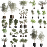 Collection of decorative trees 31 pieces