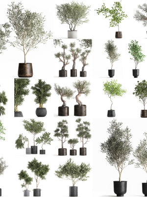 collection-of-decorative-trees-31-pieces-3d-model-max-obj-fbx