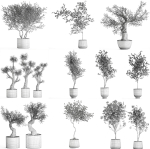 Collection of decorative trees 31 pieces