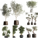 Collection of decorative trees 31 pieces
