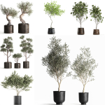 Collection of decorative trees 31 pieces
