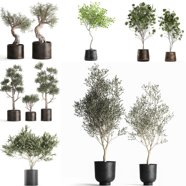 Collection of decorative trees 31 pieces