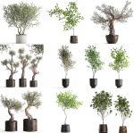 Collection of decorative trees 31 pieces