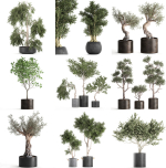 Collection of decorative trees 31 pieces