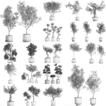 Collection of decorative trees 31 pieces