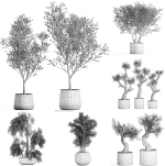 Collection of decorative trees 31 pieces