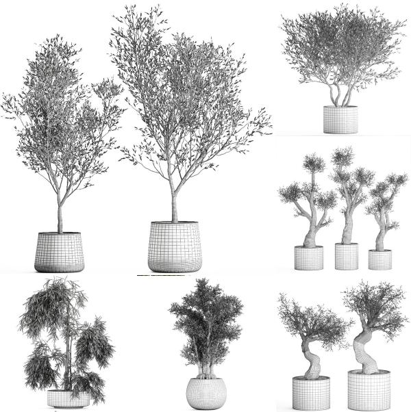 Collection of decorative trees 31 pieces